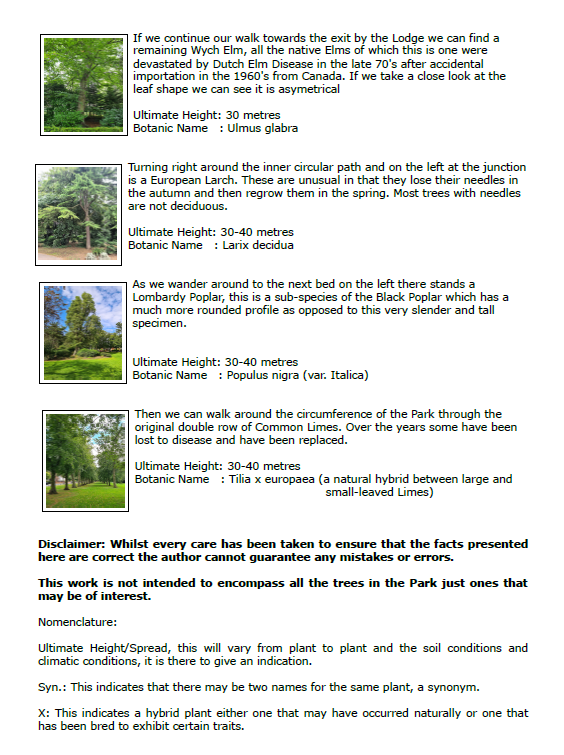 Tree Walk page 3