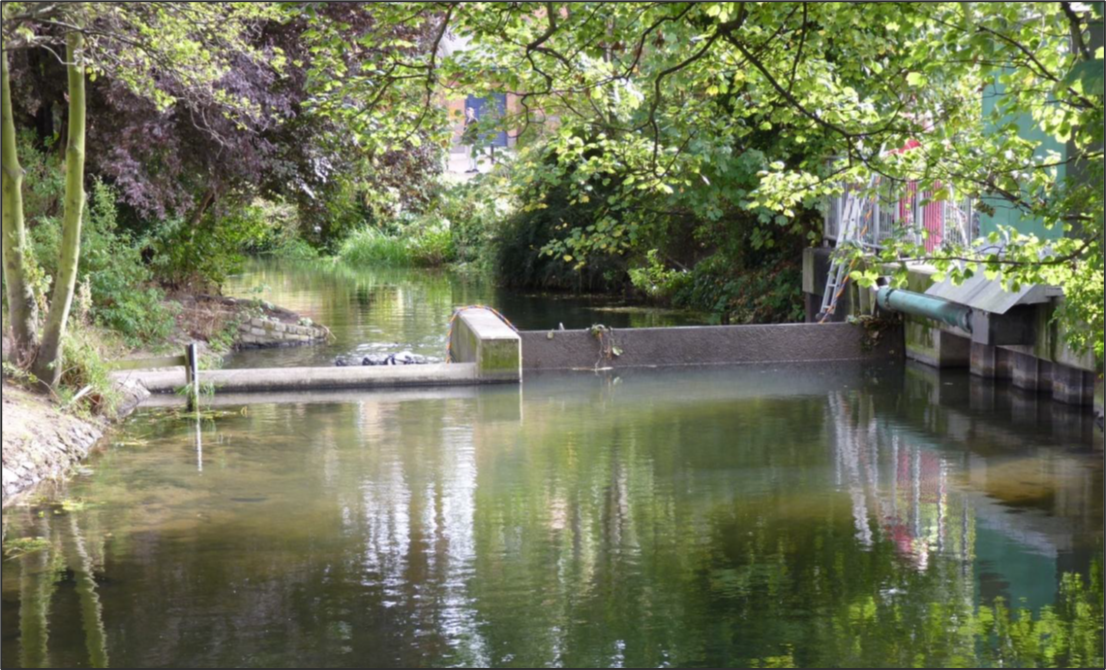 Flottergate Sluice in action